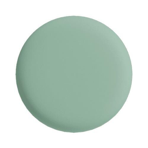 frank green Pet Safety Light Medium Mint Gelato